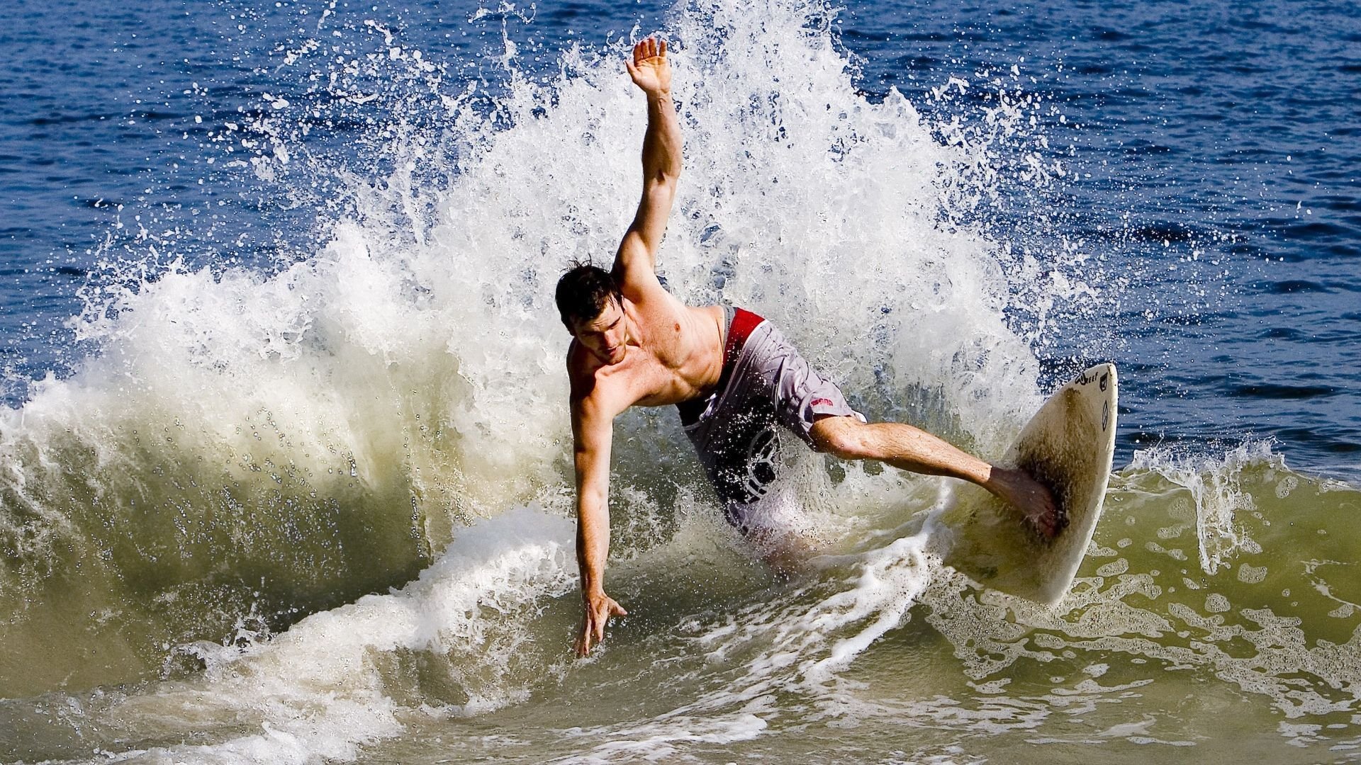 太阳西沉布鲁克林，福克斯的星光如何照亮国王的胜利之路